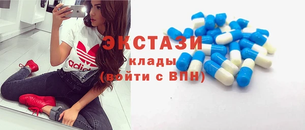 хмурый Алексин