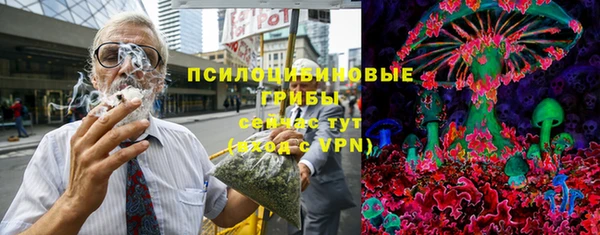 хмурый Алексин