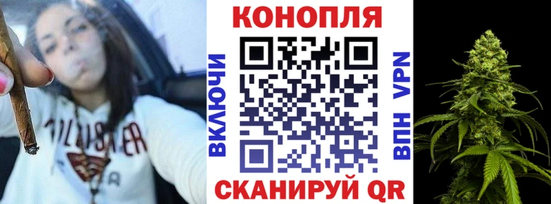 Шишки марихуана планчик  кракен ONION  Дубовка 